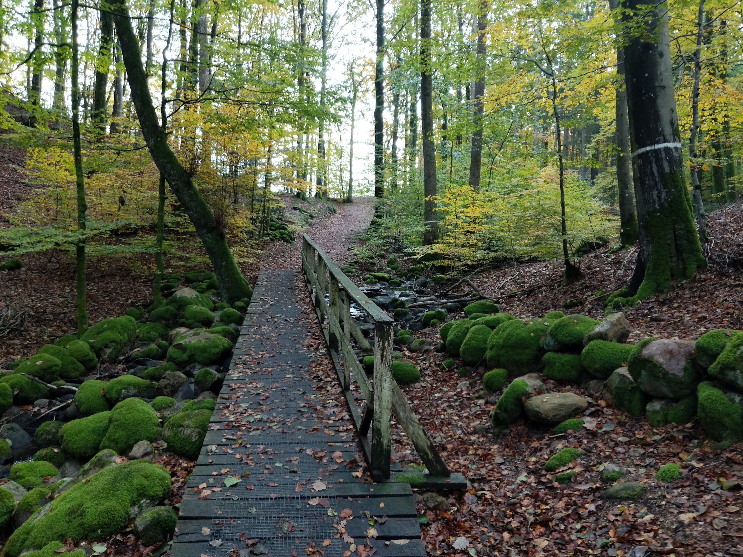 Danska Fall (Danska fallen)